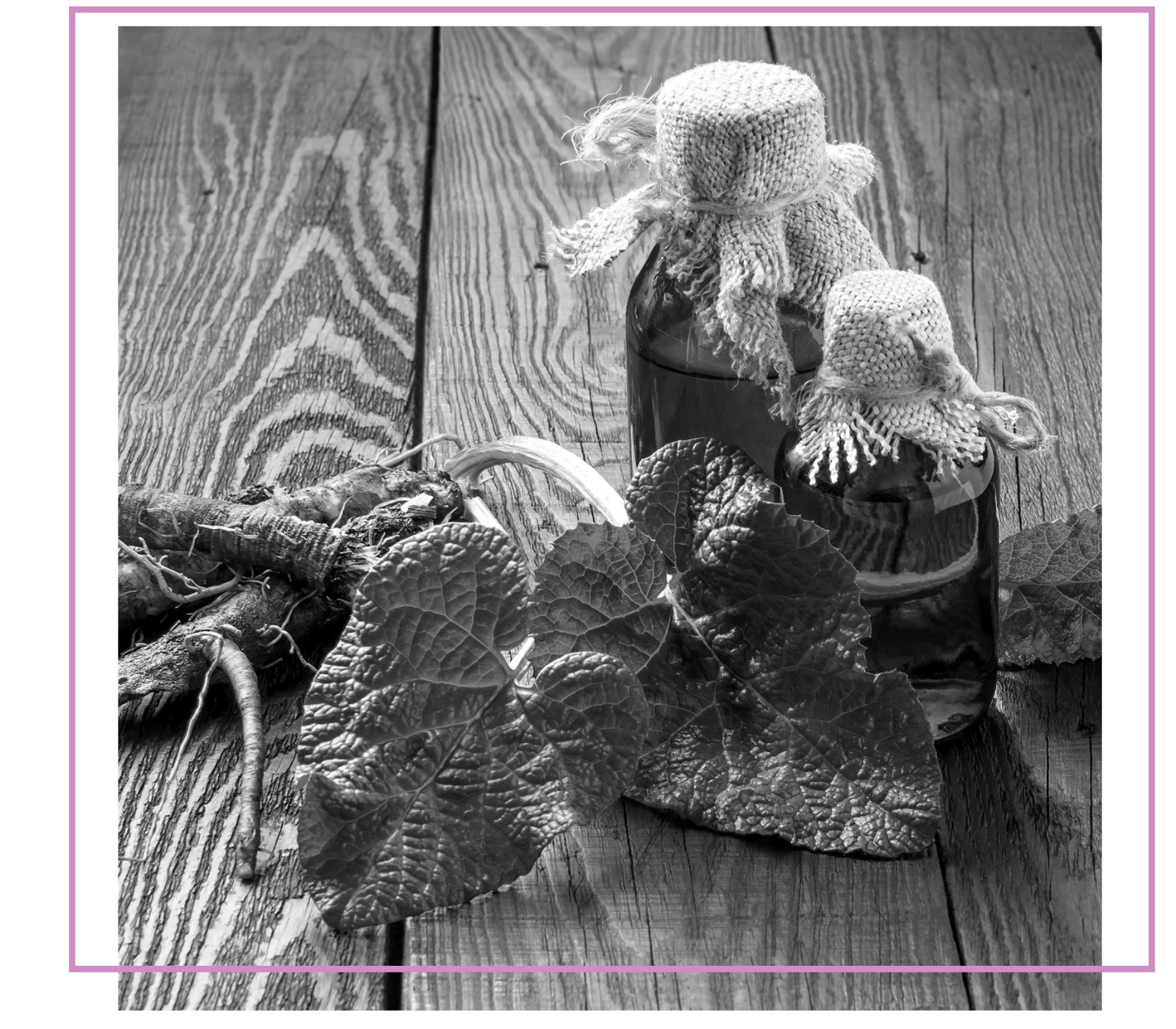 Fitoterapia en Menorca